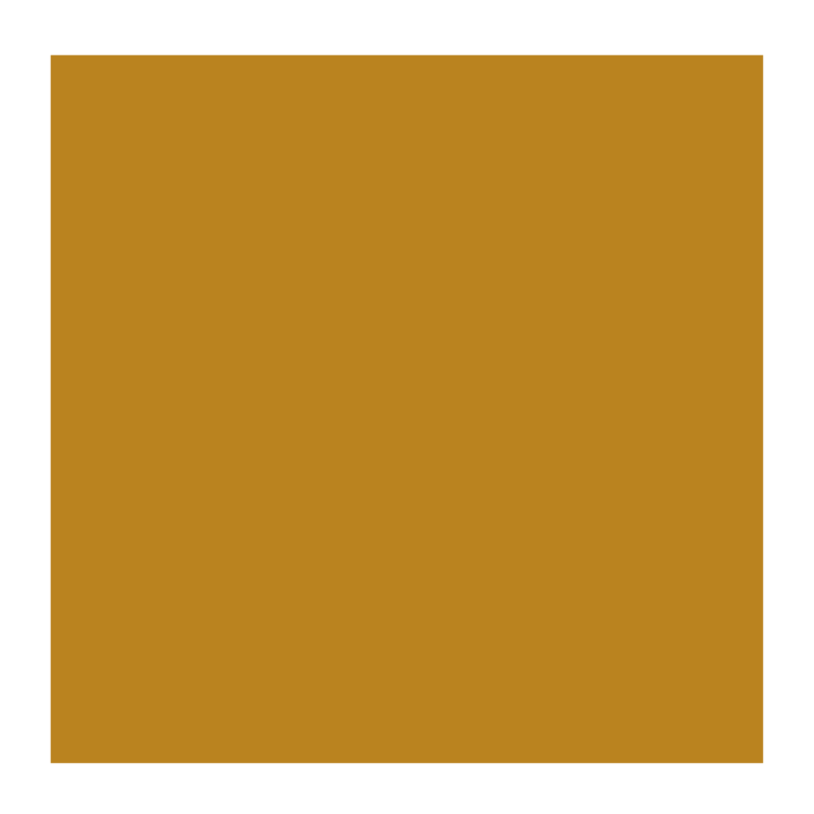 Rembrandt 265 olieverf 40ml  transp.oxydgeel