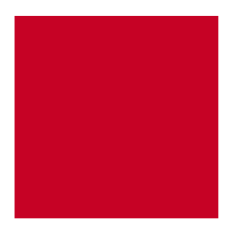 Rembrandt 306 olieverf 40ml  cadm.rood dnk