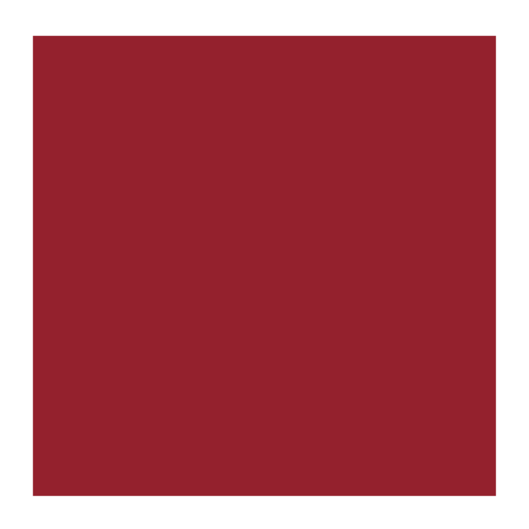 Rembrandt 309 olieverf 40ml  cadm.rood paars