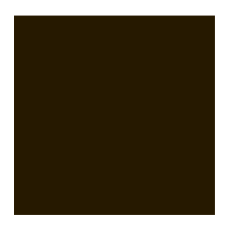 Rembrandt 403 olieverf 40ml  van dijckbruin