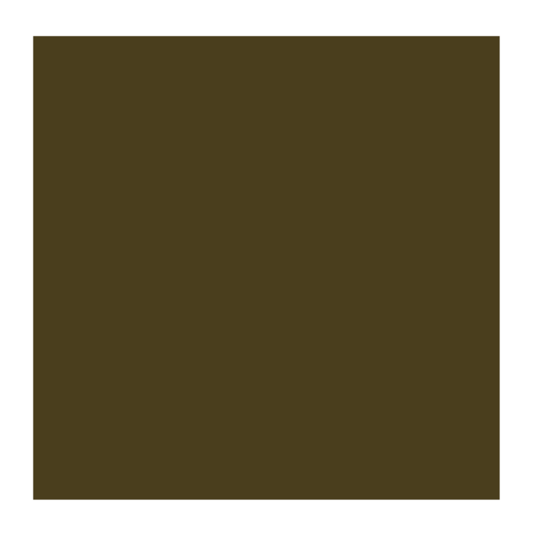 Rembrandt 408 olieverf 40ml  omber natur
