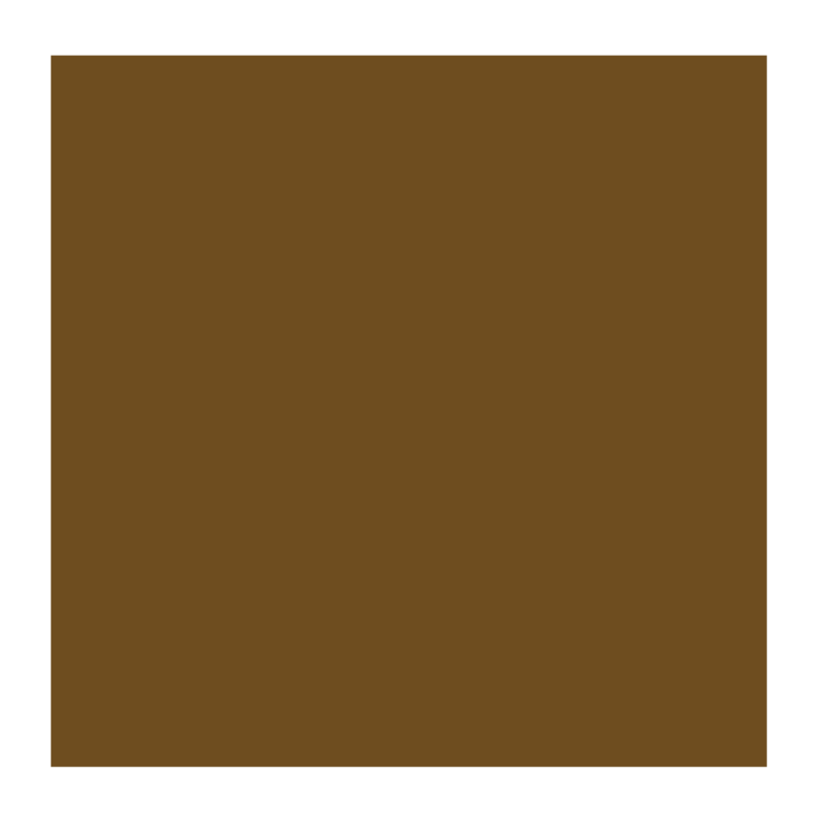 Rembrandt 409 olieverf 40ml  omber gebrand