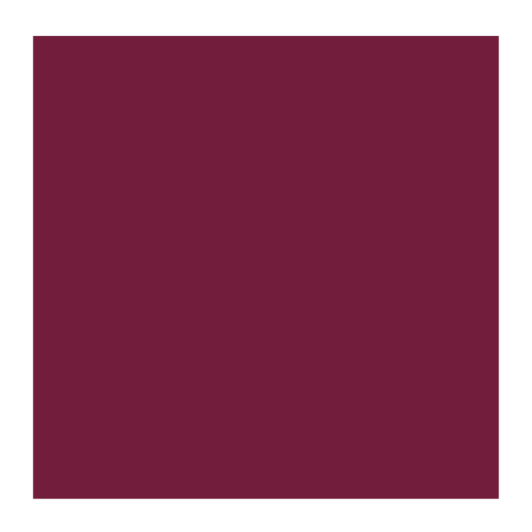 Rembrandt 567 olieverf 40ml  p.roodviolet