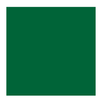 Rembrandt 627 vermiljoen groen dk - 40ml olieverf