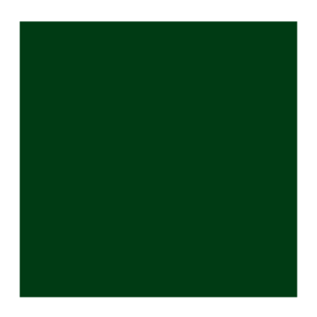 Rembrandt 629 groene aarde - 40ml olieverf