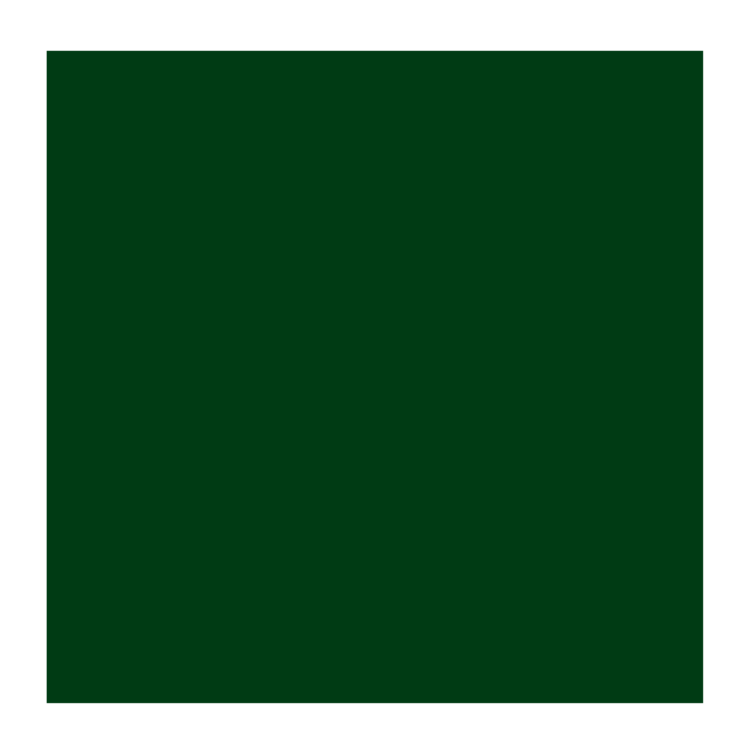 Rembrandt 629 olieverf 40ml  groene aarde