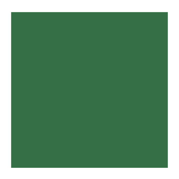 Rembrandt 668 olieverf 40ml  chroomoxydgroen