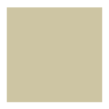 Rembrandt 800 olieverf 40ml  zilver