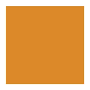 Rembrandt 803 olieverf 40ml  donkergoud