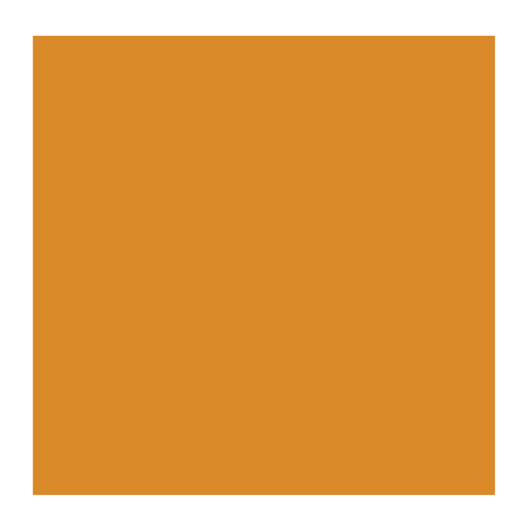 Rembrandt 803 olieverf 40ml  donkergoud