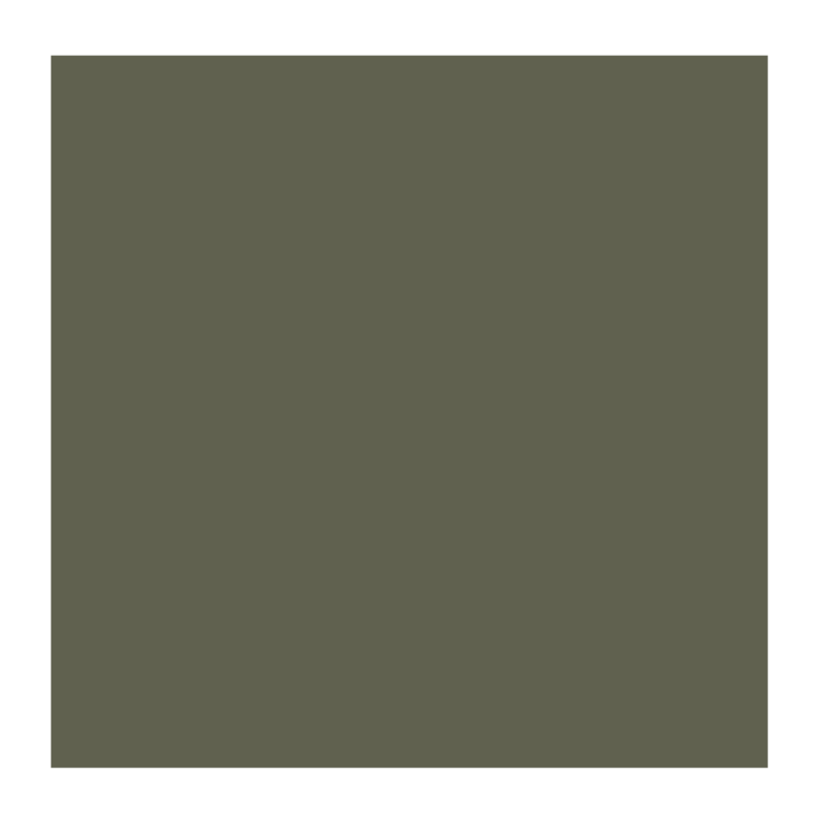 Rembrandt 815 olieverf 40ml  tin