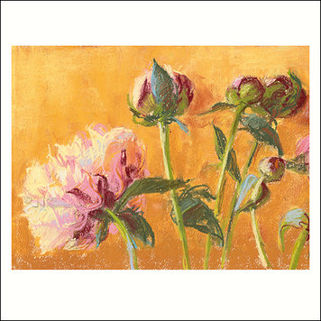 Art Revisited Claartje van der Linden - pioenrozen