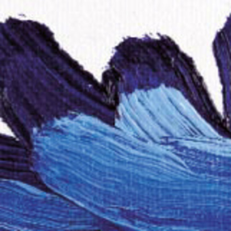 Rembrandt varkenshaar penseel kattentong (serie 208)