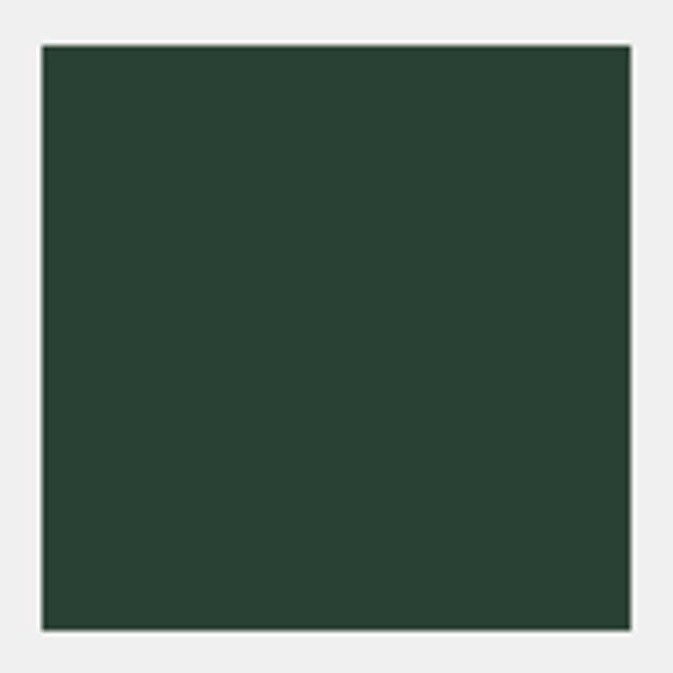 Talens gouache (plakkaat) 654 dennengroen potje 50ml