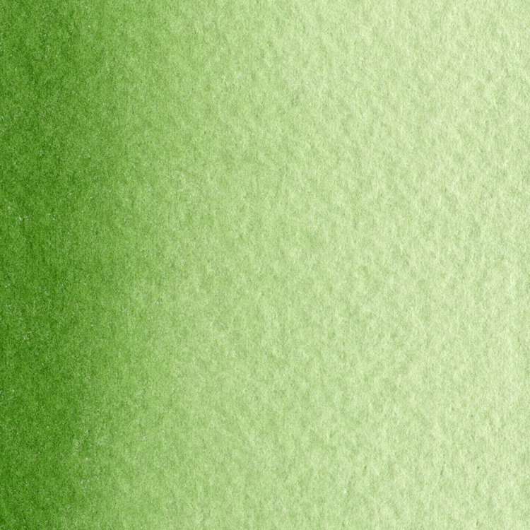 Maimeri Blu 358 aquarelverf tube 12ml - sap green