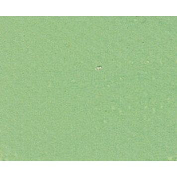 Sennelier 847 eitempera 21ml - Veronese groen