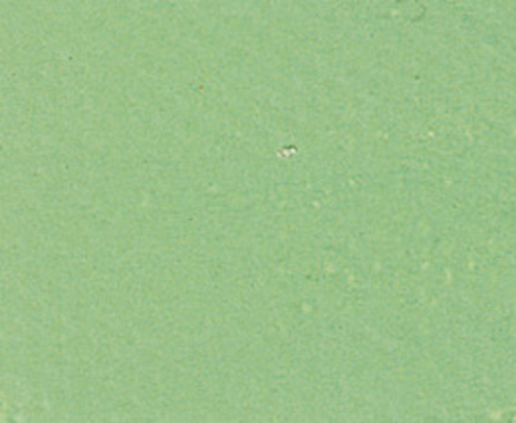 Sennelier 847 eitempera 21ml - Veronese groen