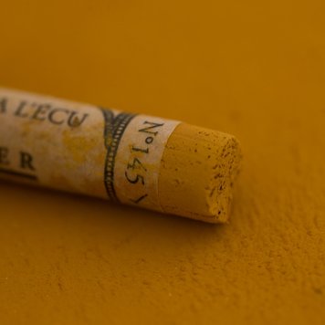 Sennelier 145 softpastel à l'écu - groen dorre bladeren