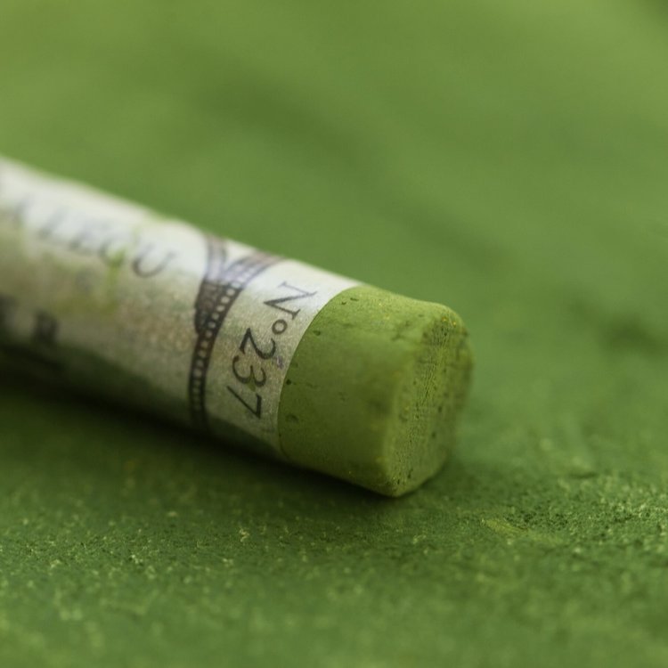 Sennelier 237 olive green - softpastel