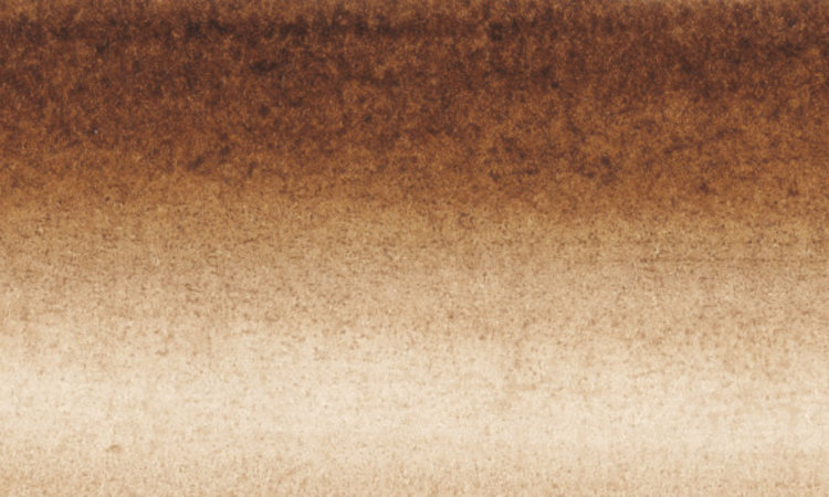 Sennelier 453 tekeninkt 30ml - walnut stain