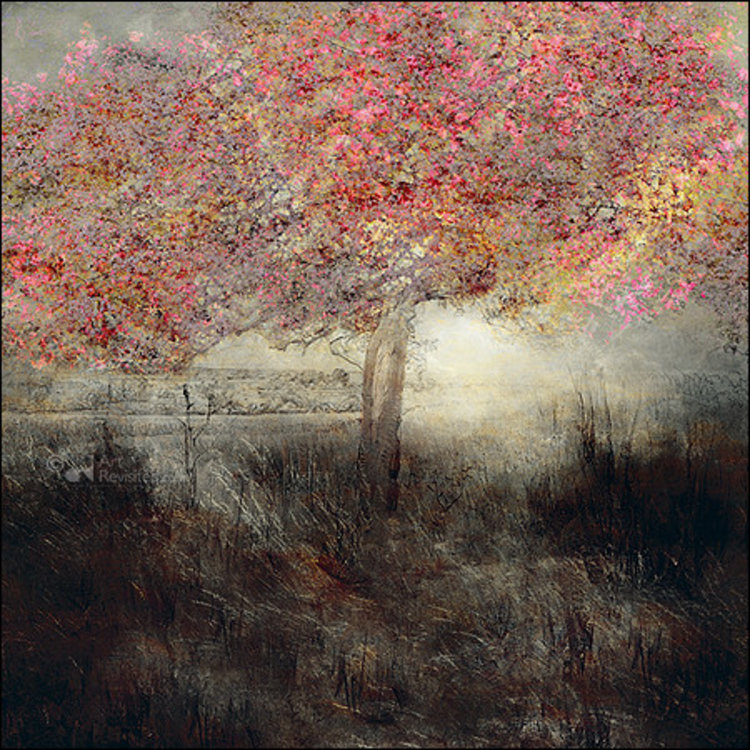 Art Revisited Sympathy - mapje met 8 kaarten Saskia Boelsums