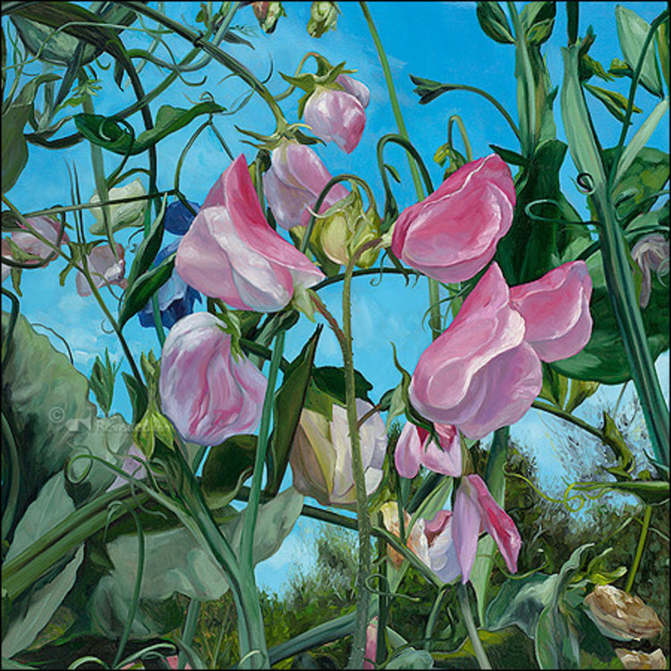 Art Revisited Frog perspective - mapje met 8 kaarten Theo Leijdekkers