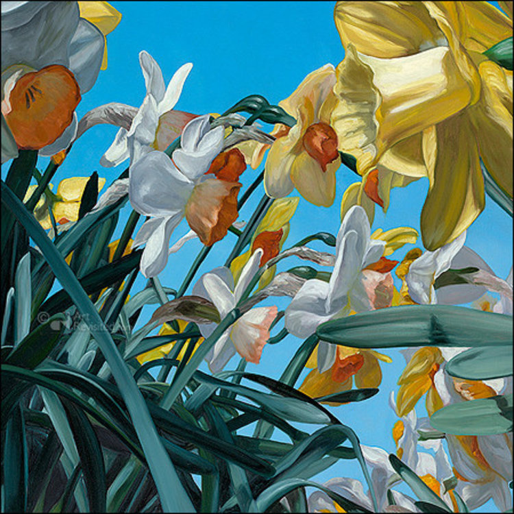 Art Revisited Frog perspective - mapje met 8 kaarten Theo Leijdekkers