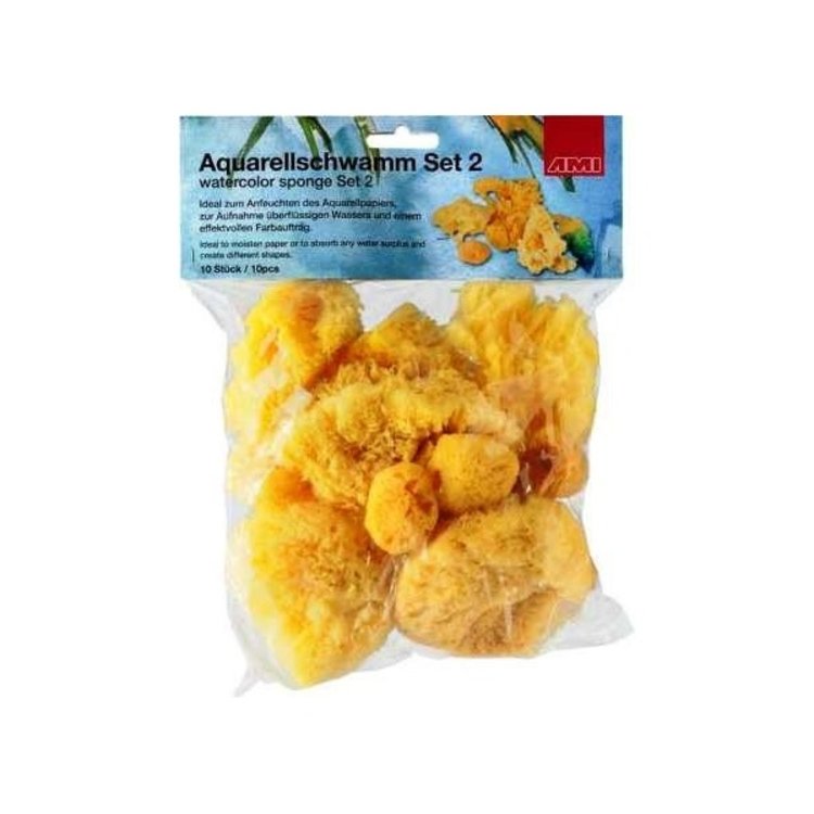 AMI natuurspons set (10 stuks)