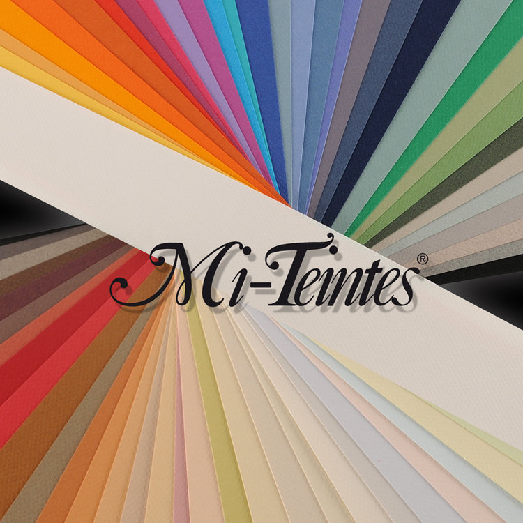 Canson Mi Teint teken en pastelpapier losse vellen 50x65 cm / voor verzending minimaal 10 vellen assorti