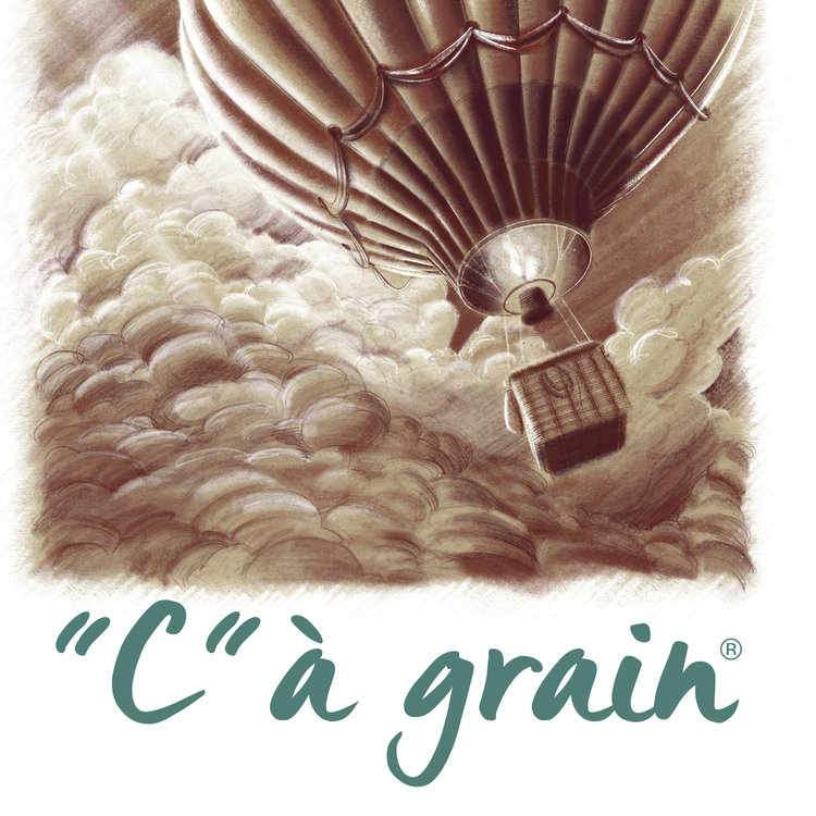 Canson "C" à Grain tekenpapier 250 grams 50x65 cm toned / voor verzending minimaal 10 vellen assorti