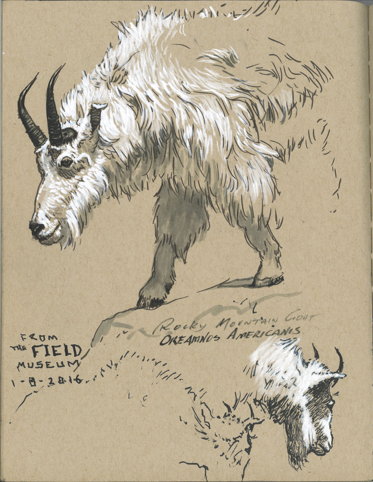 Faber Castell 101 Pitt Artist brushpen wit