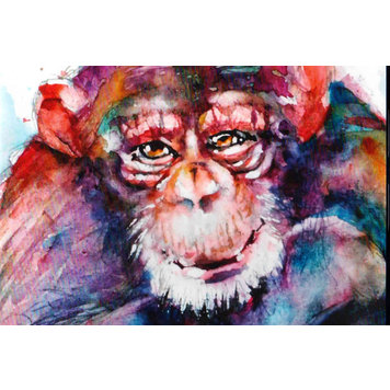 DVD - Dieren in aquarel Gerard Hendriks