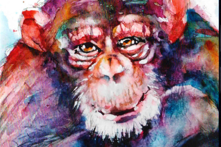 DVD - Dieren in aquarel van Gerard Hendriks