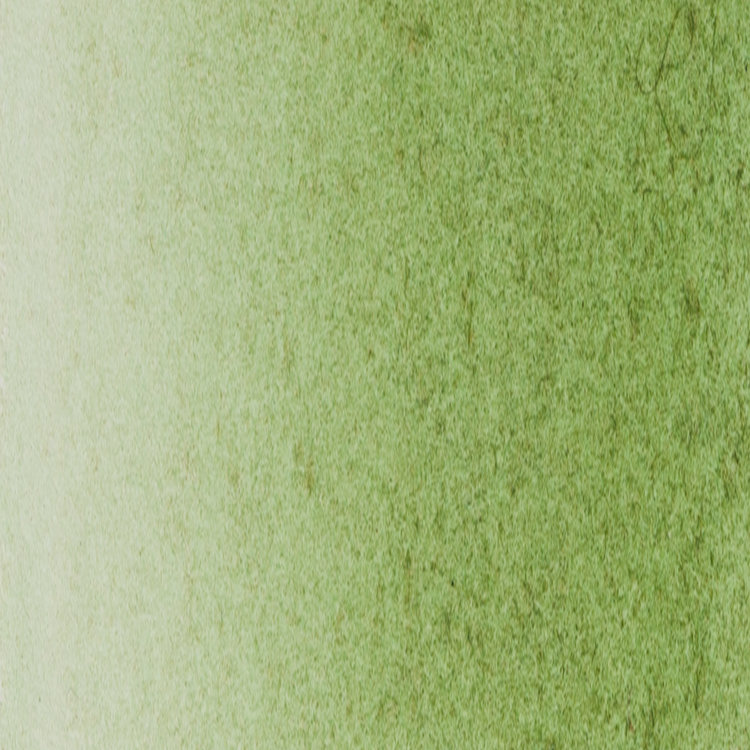 Blockx 164 aquarelverf  5ml - Hookers green