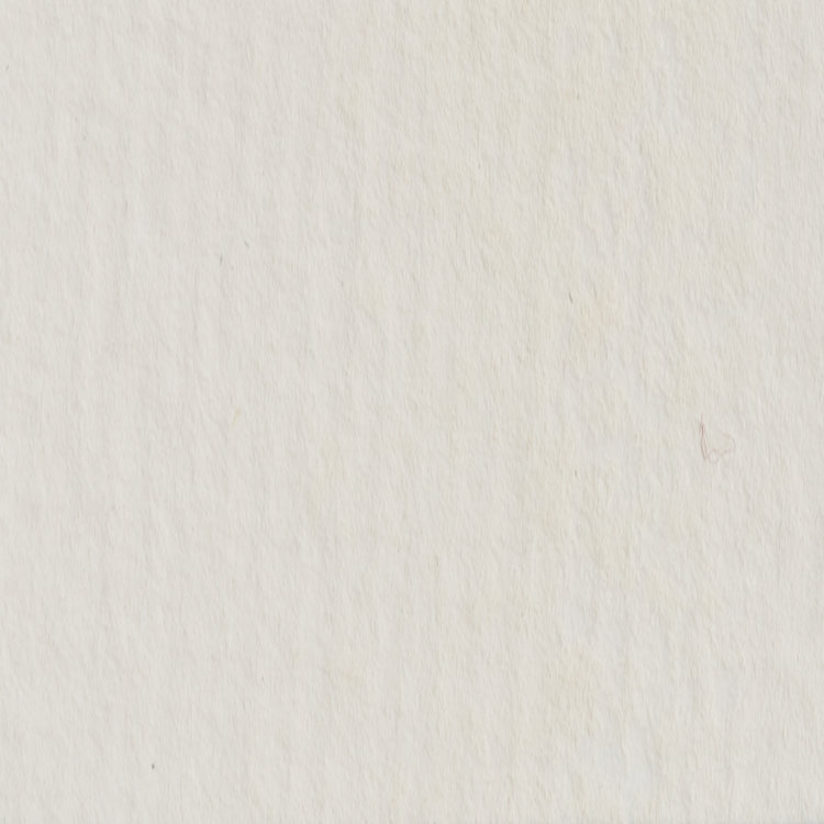 Blockx 186 aquarelverf  5ml - titanium white