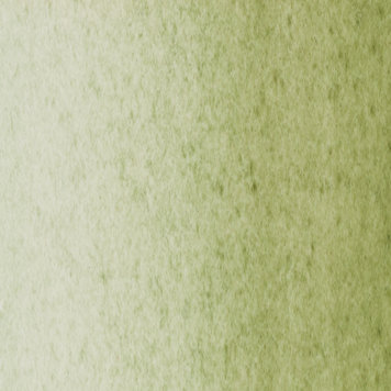 Blockx 161  green earth - 15ml aquarelverf