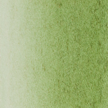 Blockx 164  Hookers green - 15ml aquarelverf