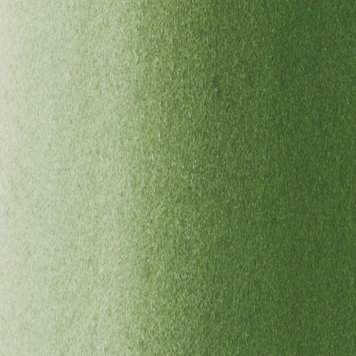 Blockx 262 chrome green - 15ml aquarelverf