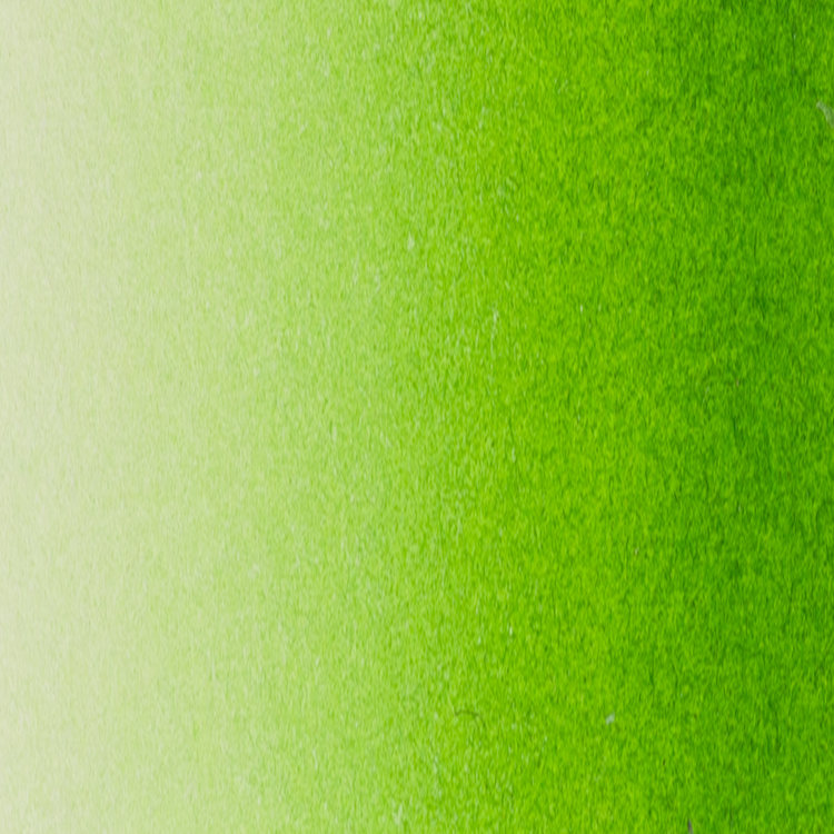 Blockx 361 aquarelverf 15ml - sap green