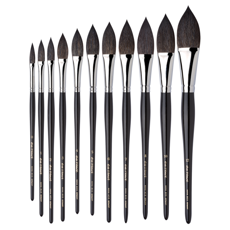 DaVinci eekhoorn kattentong (803)