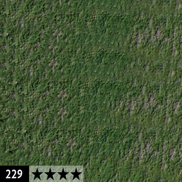 Caran d'Ache 229 dark green - pastelpotlood