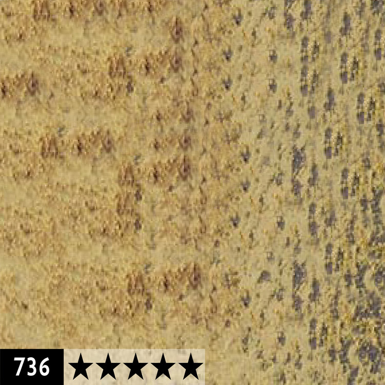 Caran d'Ache 736 pastelpotlood - braunoliv 50%