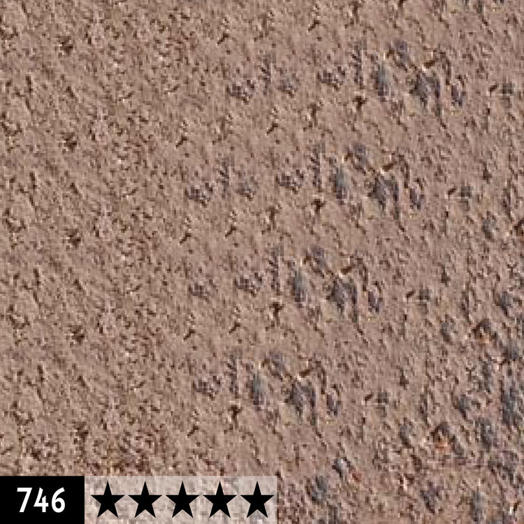 Caran d'Ache 746 pastelpotlood - dunkel fleischfarbig 50%