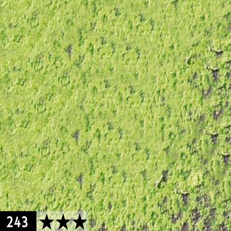 Caran d'Ache 243 harde (conté) pastel - helloliv 20%