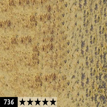 Caran d'Ache 736 harde (conté) pastel - braunoliv 50%