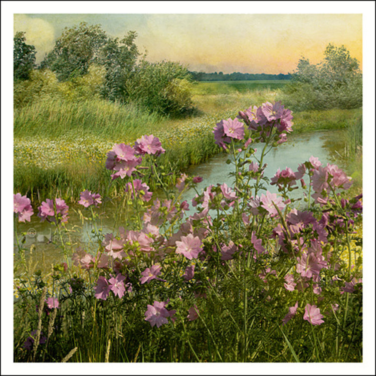 Art Revisited kunstkaart Saskia Boelsums - landscape flowers #02