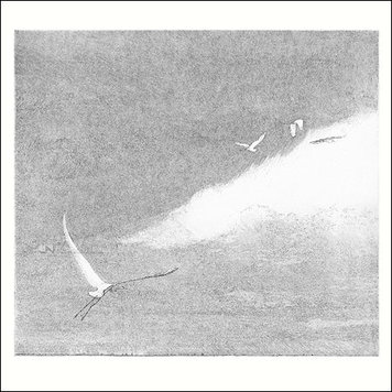 Art Revisited Reinder Homan - wings of light