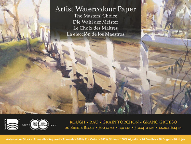 Baohong The Masters' Choice Artist aquarelpapier rough
