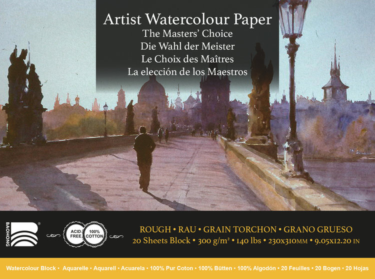 Baohong The Masters' Choice Artist aquarelpapier rough