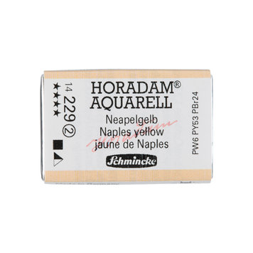Schmincke (Horadam) 229 Naples yellow - groot napje aquarel
